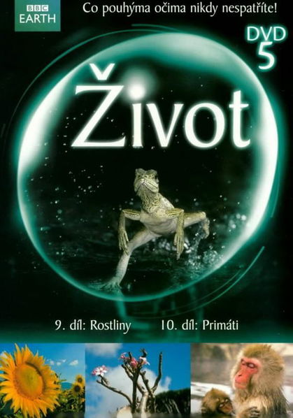 Život 5-